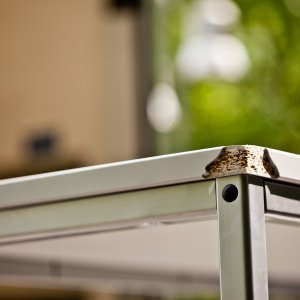 Zusatzdienstleistungen Zusatzdienstleistungen